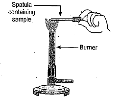 Heating a Salt sample on a Spatula