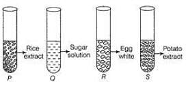 Class 9 Science Sample Paper 5 (Term 1) Notes | Study Sample Papers For Class 9 - Class 9