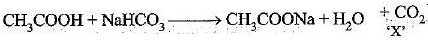 NCERT Exemplar: Carbon & its Compounds | Science Class 10