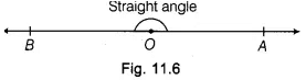 Lab Manual: Verify that if Two Lines Intersect Each Other | Lab Manuals for Class 9