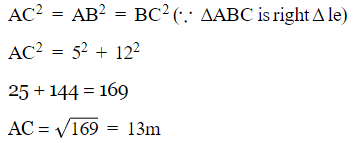 Class 10 Maths Chapter 9 Practice Question Answers - Some Applications of Trigonometry