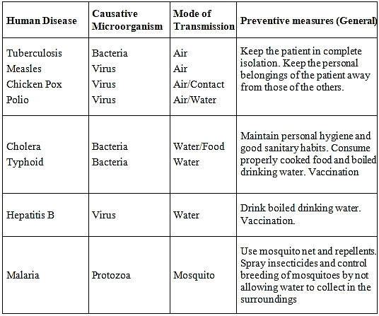 NCERT Summary: Microorganisms - Friend & Foe Notes | Study Science Class 8 - Class 8