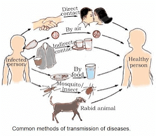 NCERT Summary: Why do we fall ill | NCERT Textbooks & Solutions for Class 9