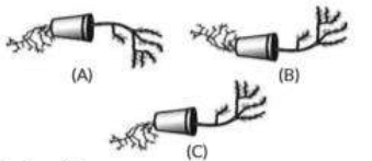 Class Science Chapter Previous Year Questions Control And