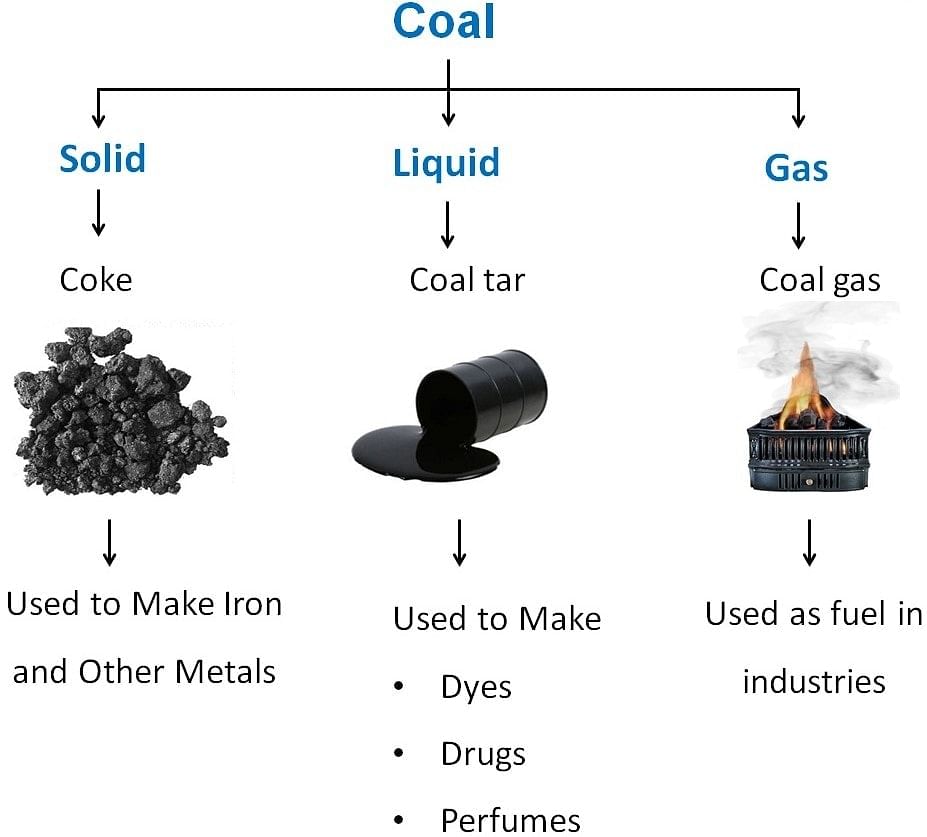 Chapter Notes - Coal & Petroleum Notes | Study Science Class 8 - Class 8