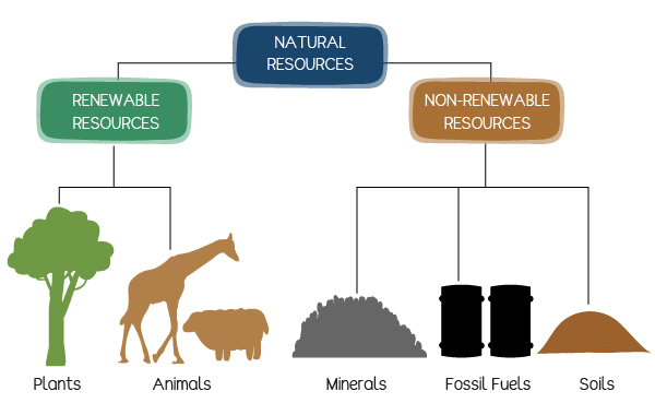 importance-sustainable-management-of-natural-resources-notes-study