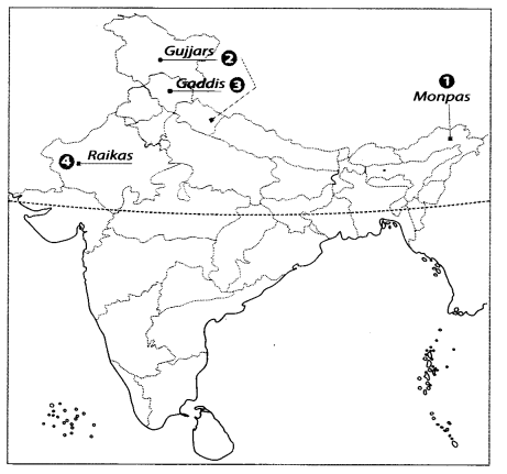 Map Based Questions: Pastoralists in the Modern - Social Studies (SST ...