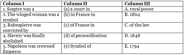 Class 9 History Chapter 1 Practice Question Answers - The French Revolution