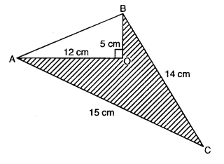 Class 9 Maths Chapter 10 Question Answers - Heron’s Formula