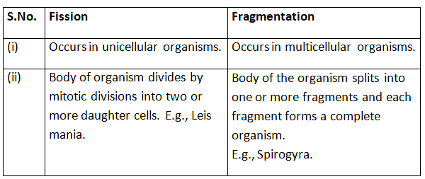 Previous Year Questions: How do Organisms Reproduce? | Science Class 10
