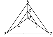 Class 9 Maths Chapter 8 Question Answers - Quadrilaterals