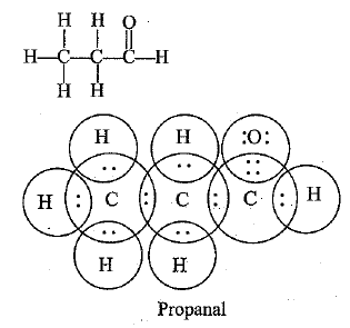 NCERT Exemplar: Carbon & its Compounds | Science Class 10