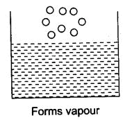 Short and Long Answer Questions: Matter in Our Surroundings | Science Class 9