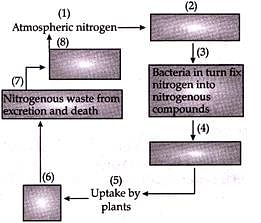 Class 8 Science Sample Paper - 3 Notes | Study Science Class 8 - Class 8