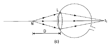 Class 10 Science Chapter 10 Previous Year Questions - The Human Eye And 