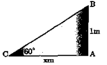 Class 10 Maths Chapter 9 Practice Question Answers - Some Applications of Trigonometry