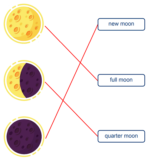 Worksheet Solutions: Different Shapes of Moon - General Knowledge for ...