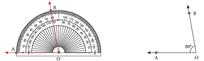 Lines, Angles and Triangles / Geometry Class 5 Notes Maths
