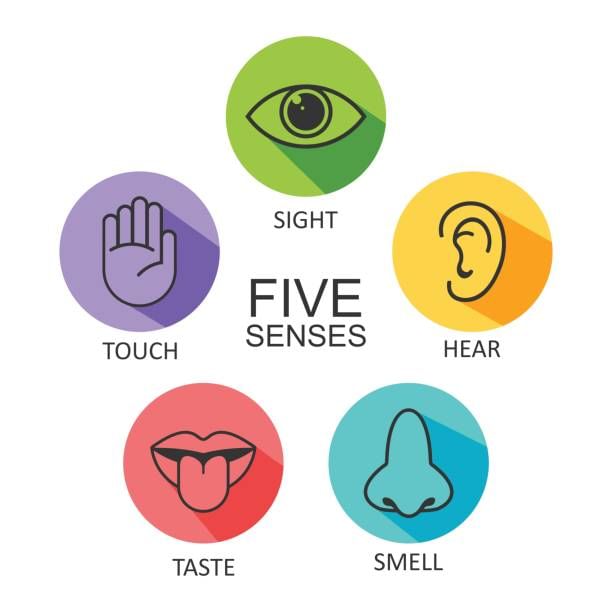 Senses - General Knowledge for Young Learners - Class 1 PDF Download