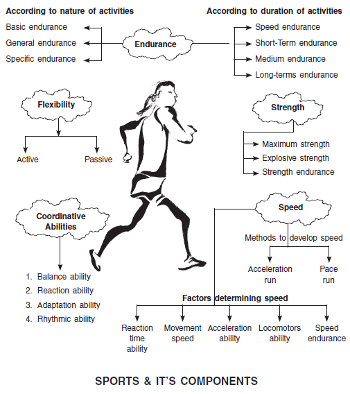 Chapter 12 Training in Sports, Chapter Notes, Class 12, Physical