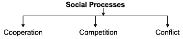 Social Structure, Stratification and Social Processes Revision Notes | Sociology Class 11 - Humanities/Arts