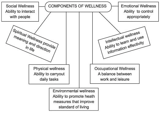 Revision Notes, Physical Fitness, Wellness And Lifestyle, Physical ...