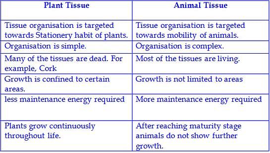 Difference between animal and plant tissye? | EduRev Class 9 Question