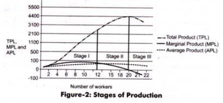 Explain With Diagram 3 Stages Of Production? Why Does Law Of ...