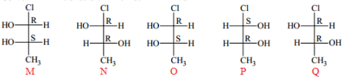 Fischer Projections of the molecules