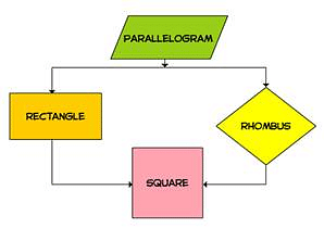 Parallelogram - Class 8 Notes - Class 8