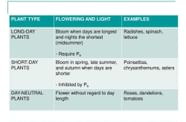 Some Examples Of Long Day short Day and Long Day Plants EduRev NEET 