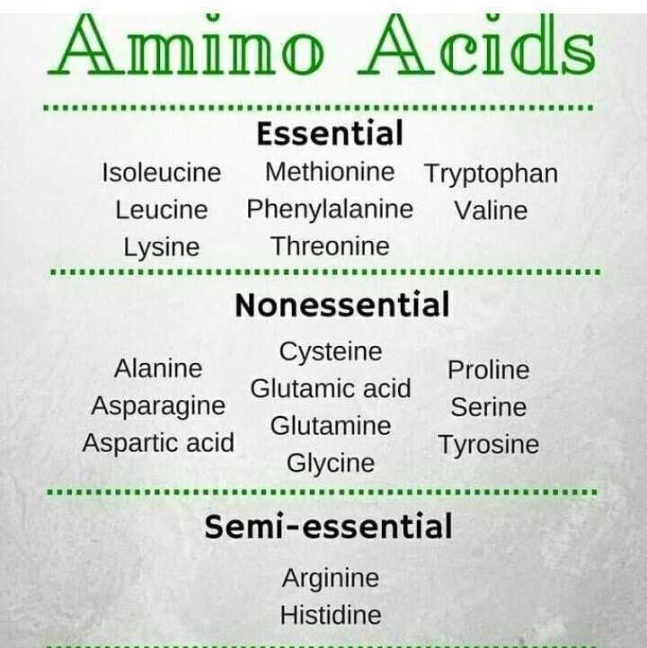 what-are-amino-acids-essential-nonessential-conditional-types