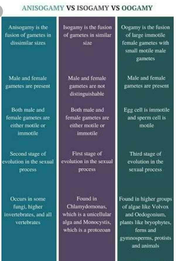 What Is Isogamous Anisogamous And Oogamous Reproduction Edurev Neet Question