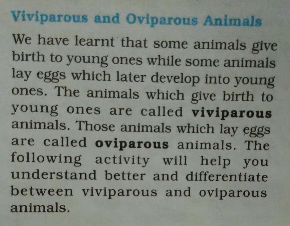 State three differences between oviparous and viviparous? | EduRev Class 8  Question