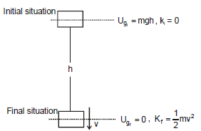 Introduction to Work and Work Energy Theorem | Physics Class 11 - NEET