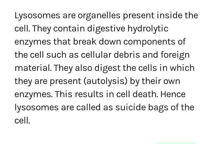 Lysosomes: Functions, Suicidal Bags and Lysosomal Diseases