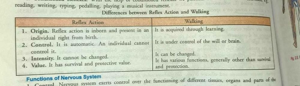 what-is-the-difference-between-reflex-action-and-walking-edurev