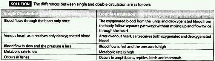 What is the Difference between Single and Double Circulation?