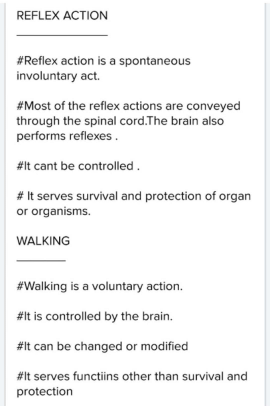 What Is The Difference Between Reflex Action And Walking