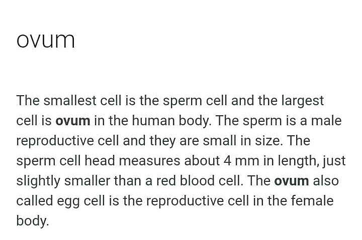 Which is the largest cell in the body? | EduRev Class 10 Question