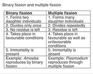 Difference Between Binary Fission And Multiple Fission EduRev Class 