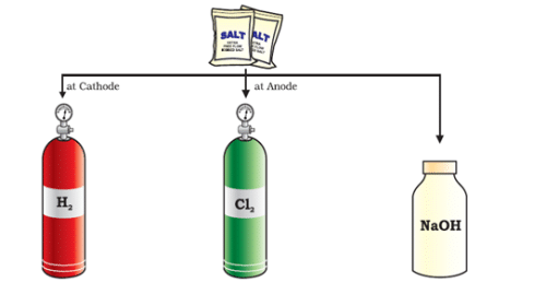 Acids - Notes, Chemistry | General Test Preparation for CUET