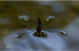 Hydrostatics Physics - Physics | Current Affairs & General Knowledge - CLAT