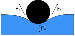 Hydrostatics Physics - Physics | Current Affairs & General Knowledge - CLAT