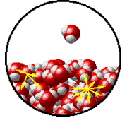 Hydrostatics Physics - Physics | Current Affairs & General Knowledge - CLAT