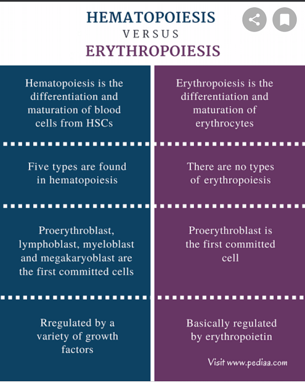 Is there any major difference b/w haemopoiesis and erythropoiesis ...