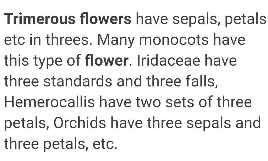 what is trimerous flower Related Doc Flower Inflorescence? EduRev