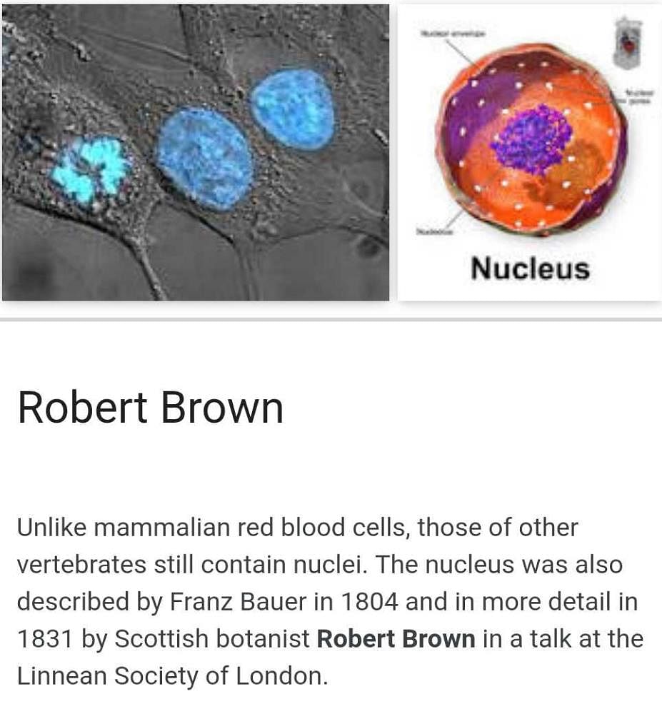Who discovered the nucleus of the cell? | EduRev Class 10 Question