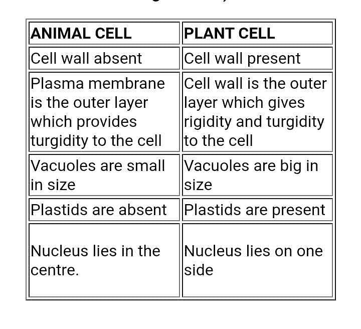 Differences:-plant cell-animal cell? | EduRev Class 9 Question