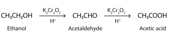 Previous Year Questions: Carbon & its Compounds - 2 | Science Class 10